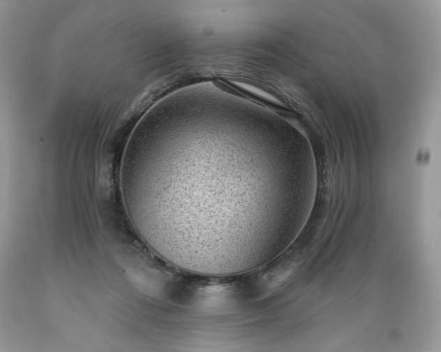 X0000089380312200706221300
