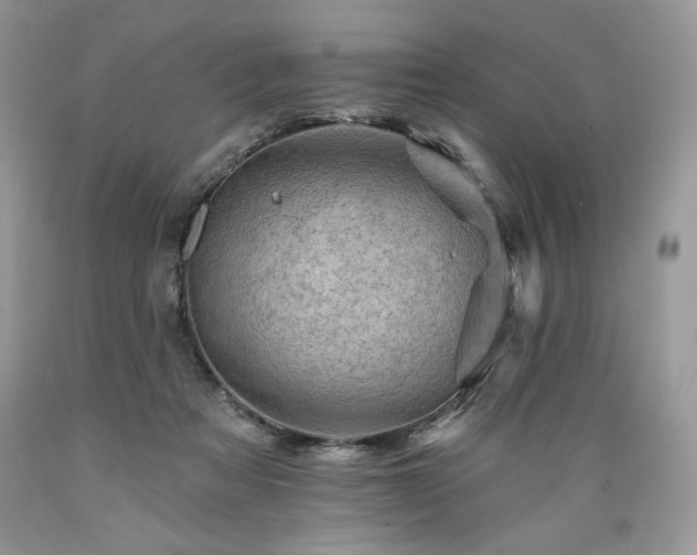 X0000089380313200706221300