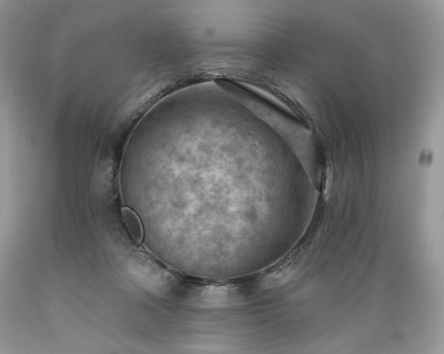 X0000089380314200706221300