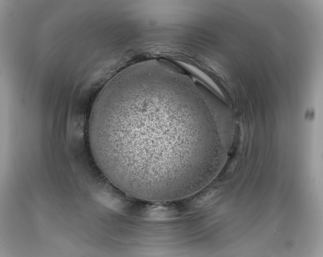 X0000089380315200706221300