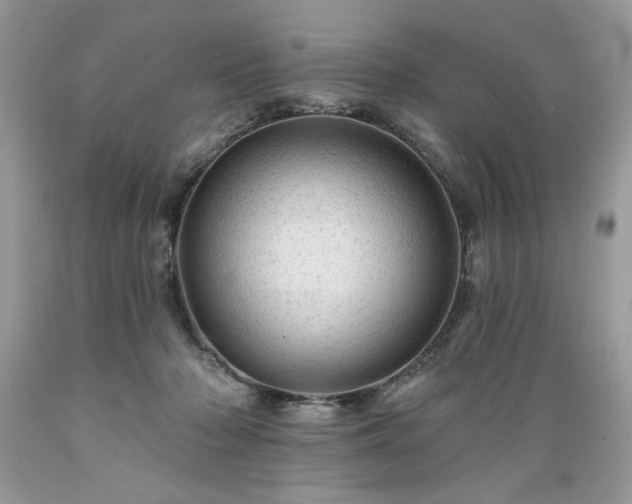 X0000089380318200706221300