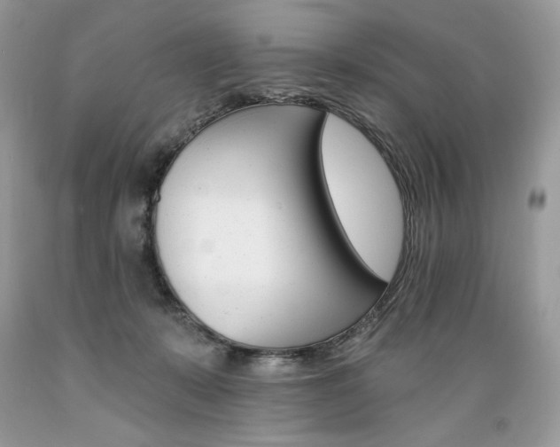 X0000089380319200706221300
