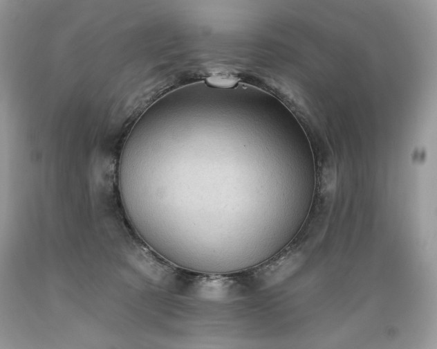 X0000089380321200706221300