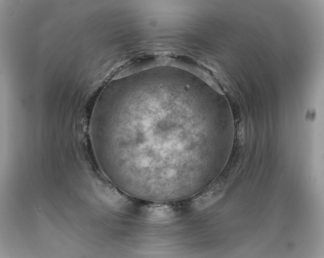 X0000089380322200706221300