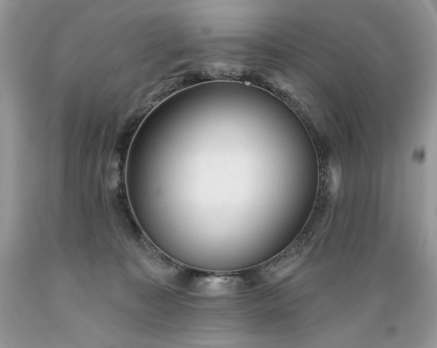 X0000089380323200706221300