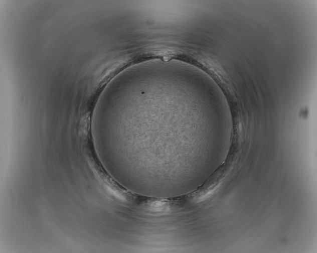 X0000089380325200706221300