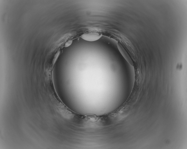 X0000089380329200706221300