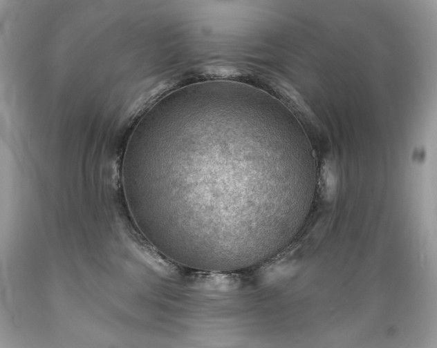 X0000089380330200706221300