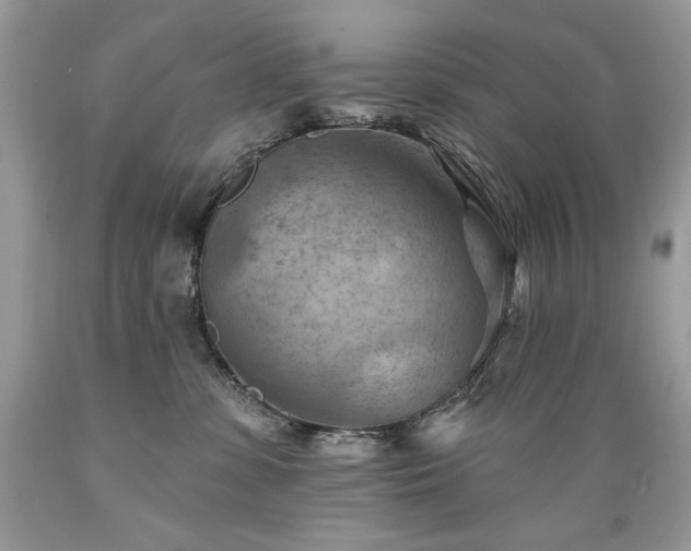 X0000089380331200706221300