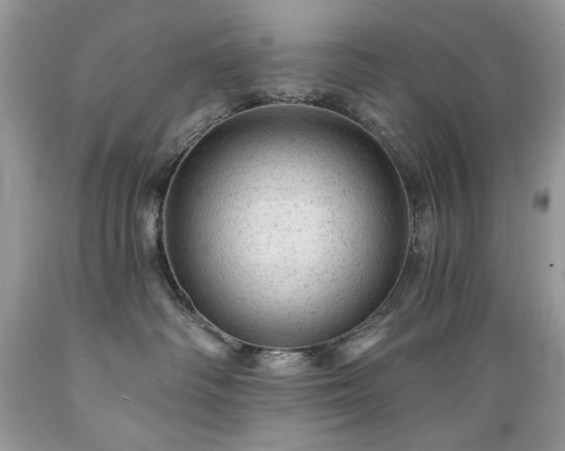 X0000089380334200706221300