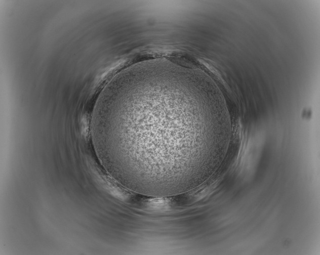 X0000089380335200706221300