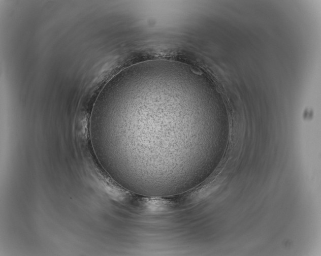 X0000089380336200706221300