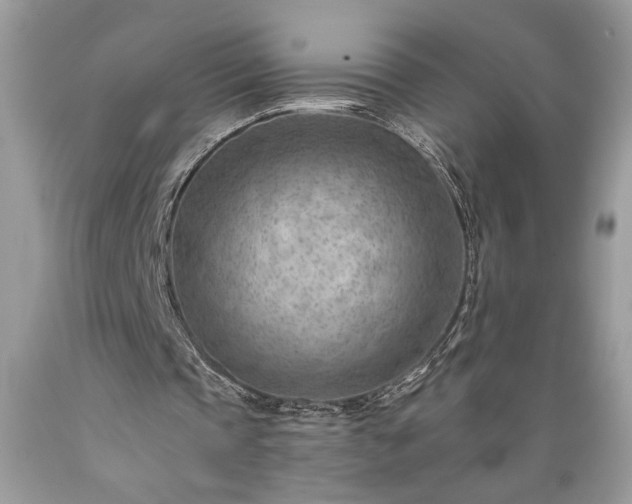 X0000089380337200706221259