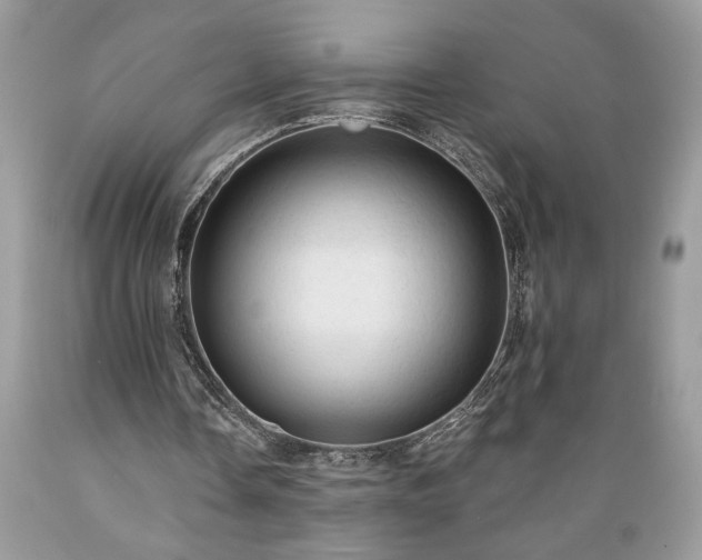 X0000089380338200706221259