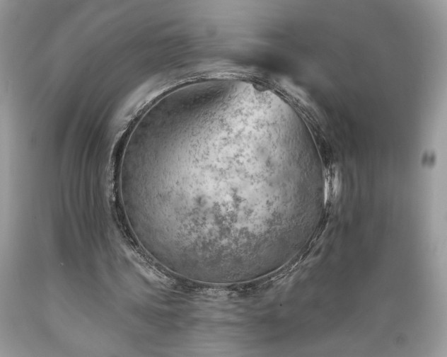 X0000089380339200706221259
