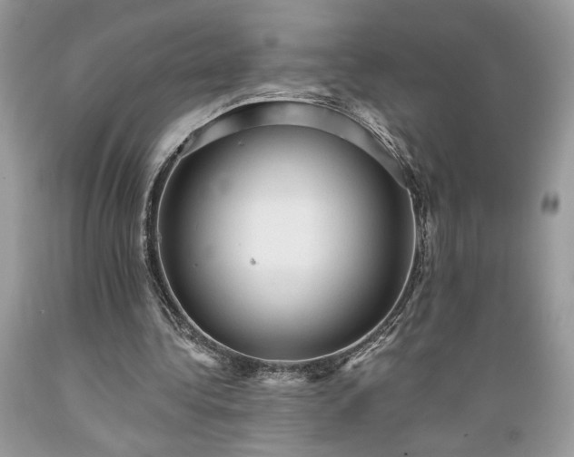 X0000089380340200706221259