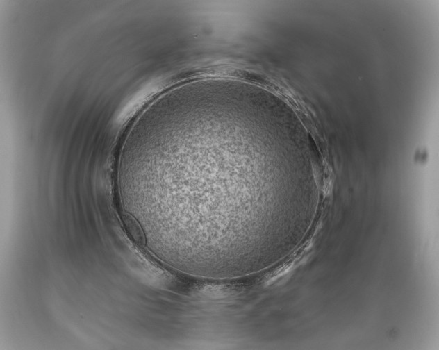 X0000089380341200706221259