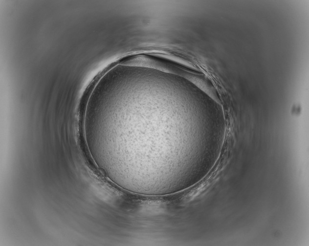 X0000089380342200706221259