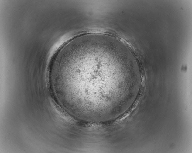 X0000089380343200706221259