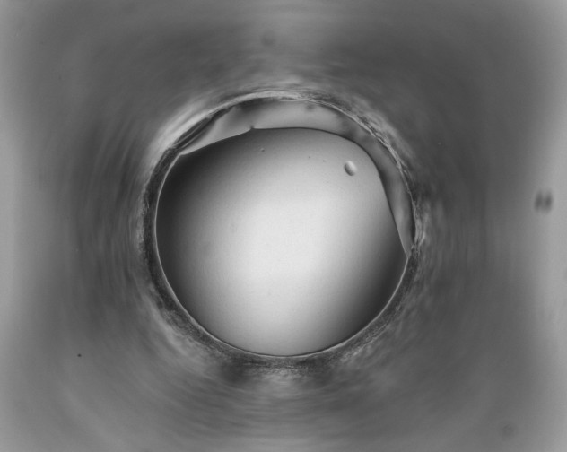 X0000089380344200706221259