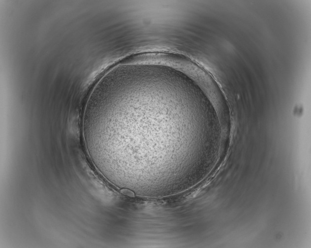 X0000089380345200706221259