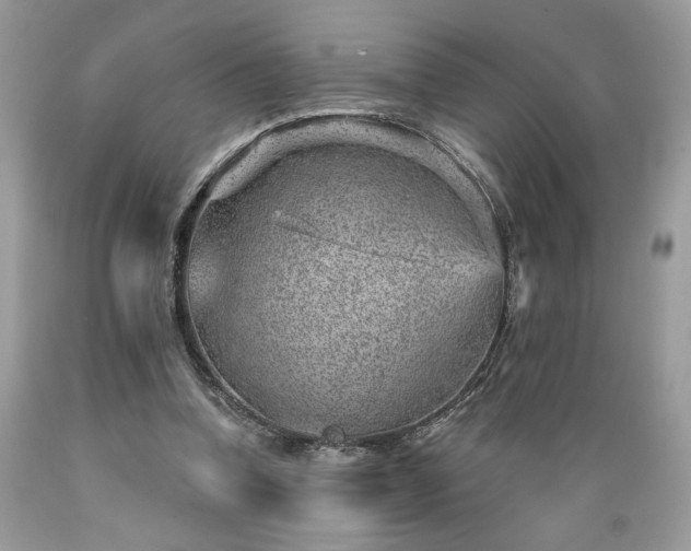 X0000089380346200706221259