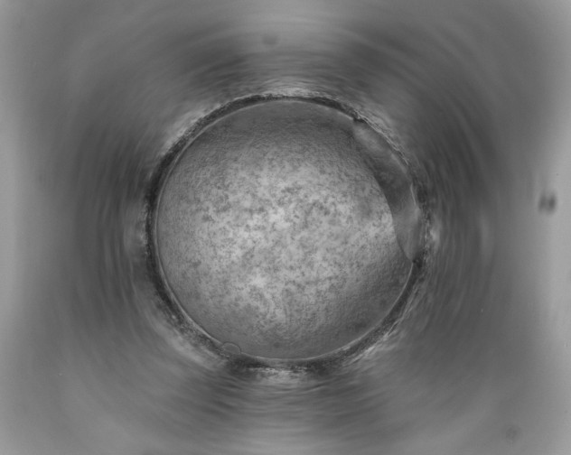 X0000089380347200706221259