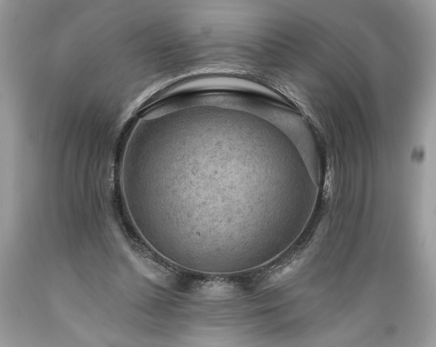 X0000089380348200706221259