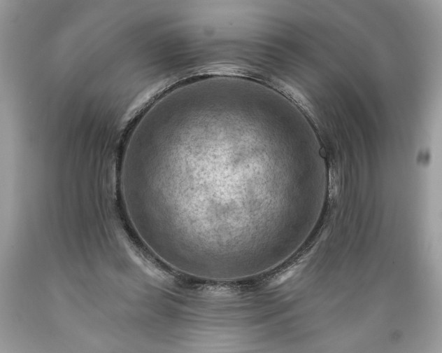 X0000089380349200706221259