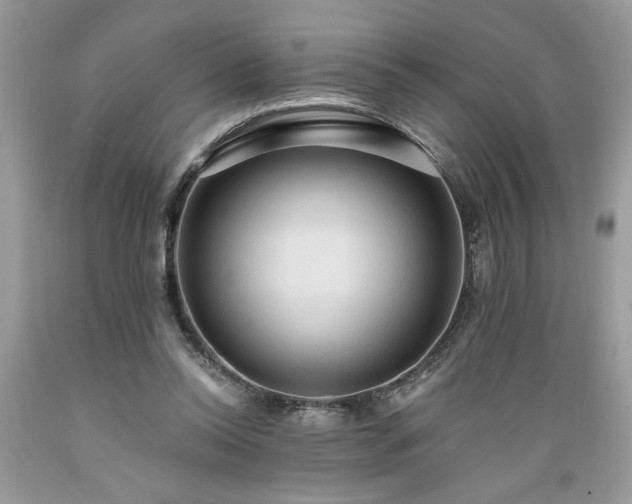 X0000089380350200706221259