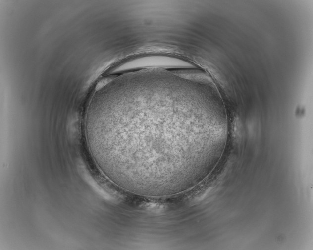 X0000089380352200706221259