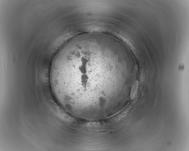 X0000089380353200706221259