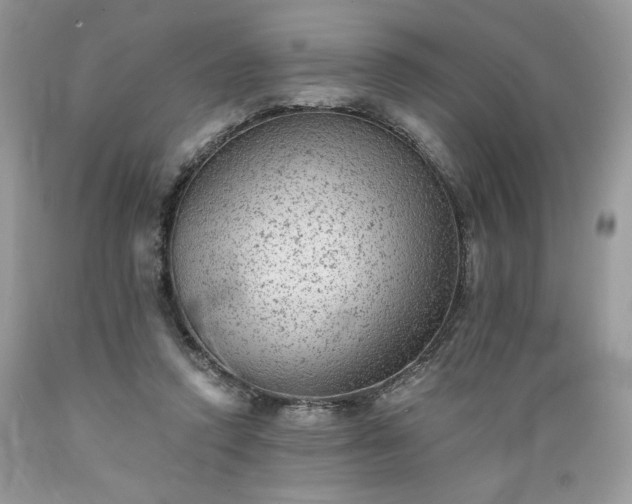 X0000089380354200706221259