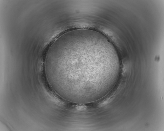 X0000089380355200706221259