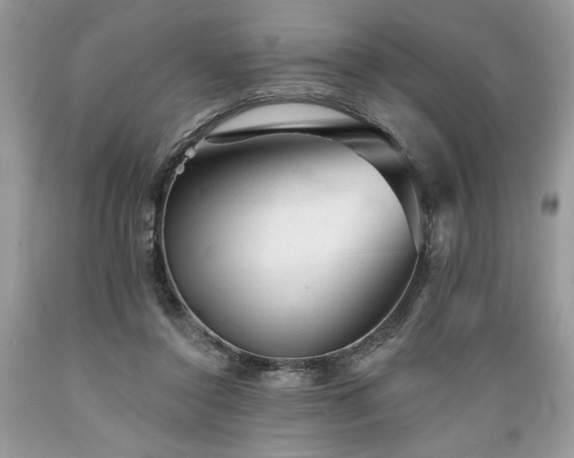 X0000089380356200706221259