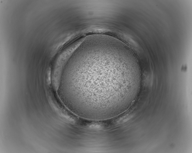 X0000089380358200706221259