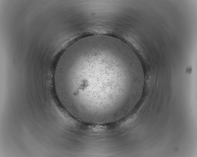 X0000089380359200706221259