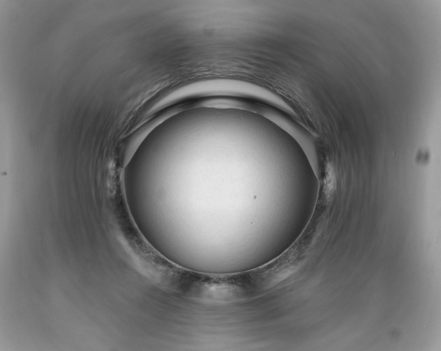 X0000089380360200706221259