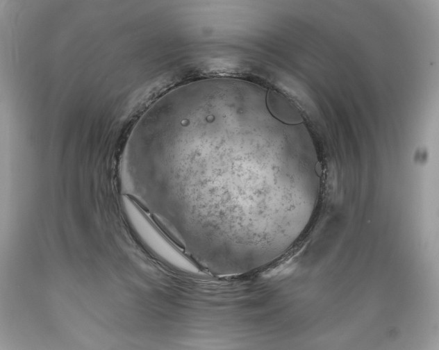 X0000089380361200706221259
