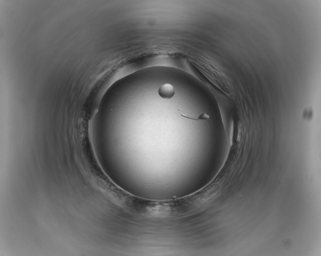 X0000089380362200706221259