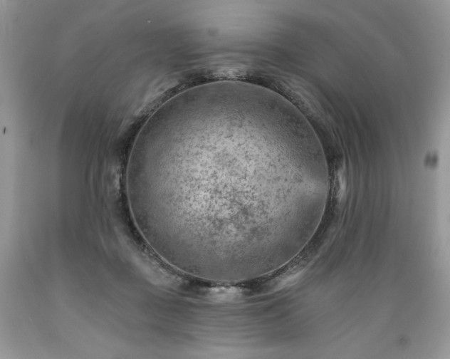 X0000089380363200706221300