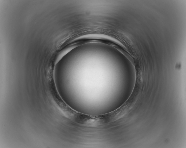 X0000089380364200706221300