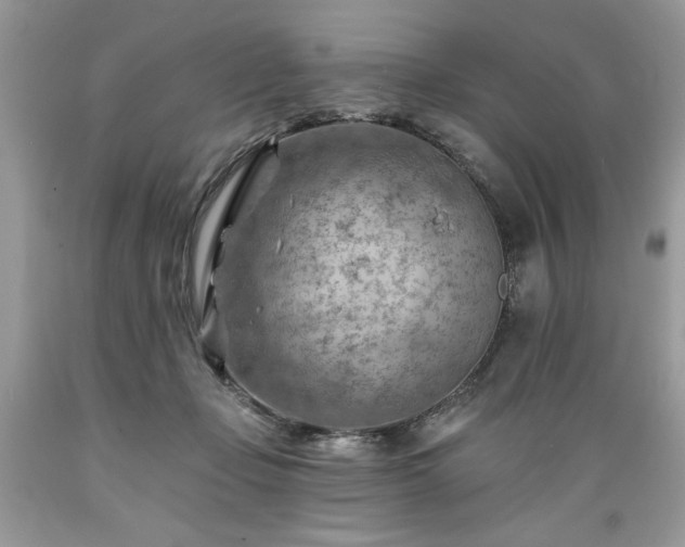 X0000089380365200706221300