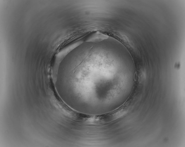 X0000089380366200706221300