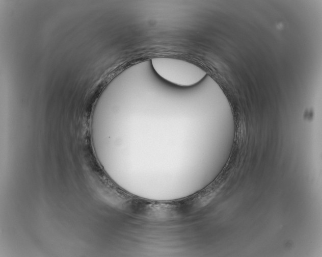 X0000089380367200706221300