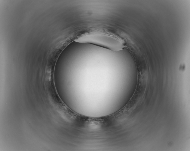 X0000089380368200706221300