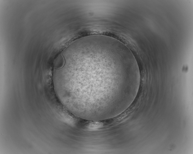 X0000089380369200706221300