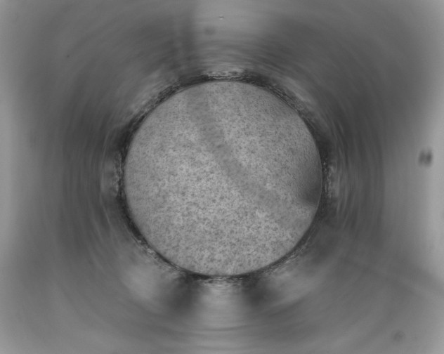 X0000089380370200706221300