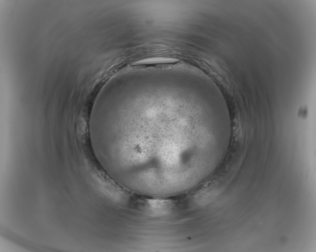 X0000089380371200706221300