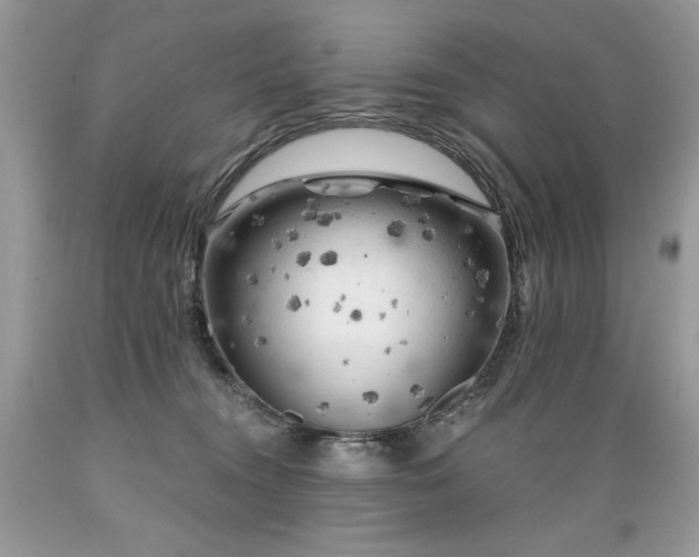 X0000089380372200706221300
